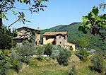 Podere Albereto