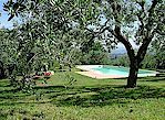 Agriturismo Podere Capiteto