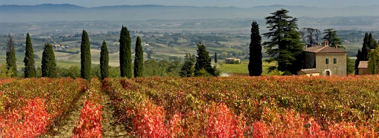 Accommodations in Tuscany